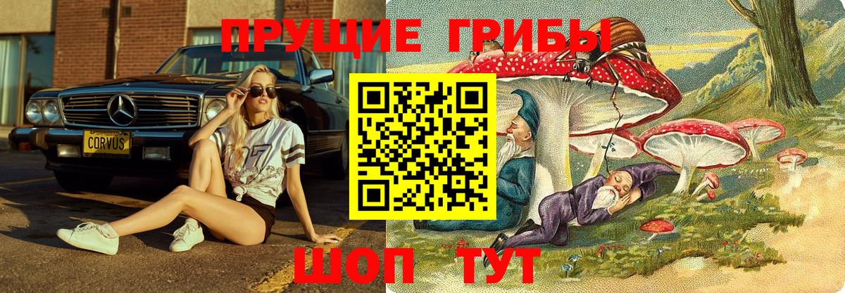 Галлюциногенные грибы ЛСД Кимовск